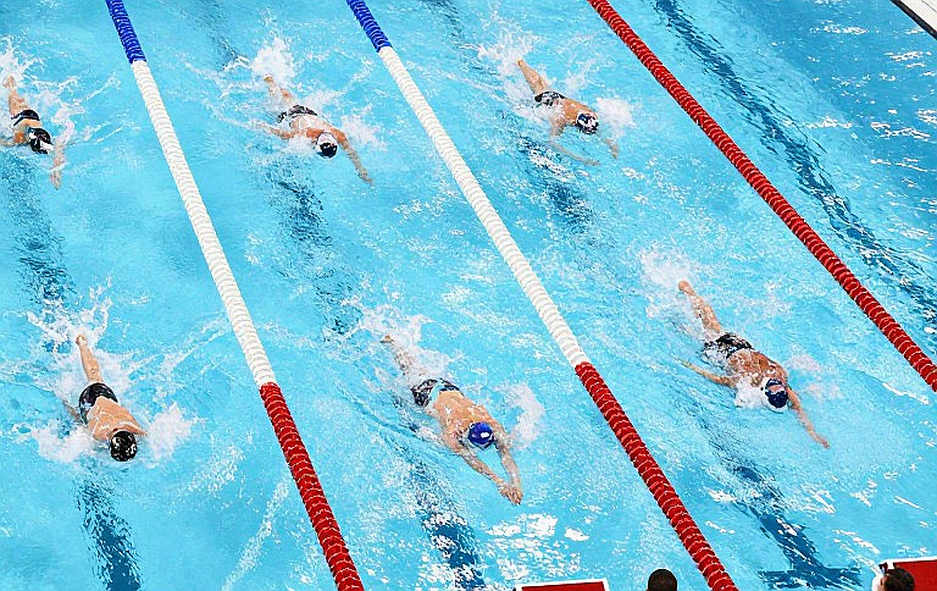 Lớp 2026 của Maine Swimming và Diving Hall of Fame: Khi vinh danh khu vực phơi bày lỗ hổng dữ liệu
