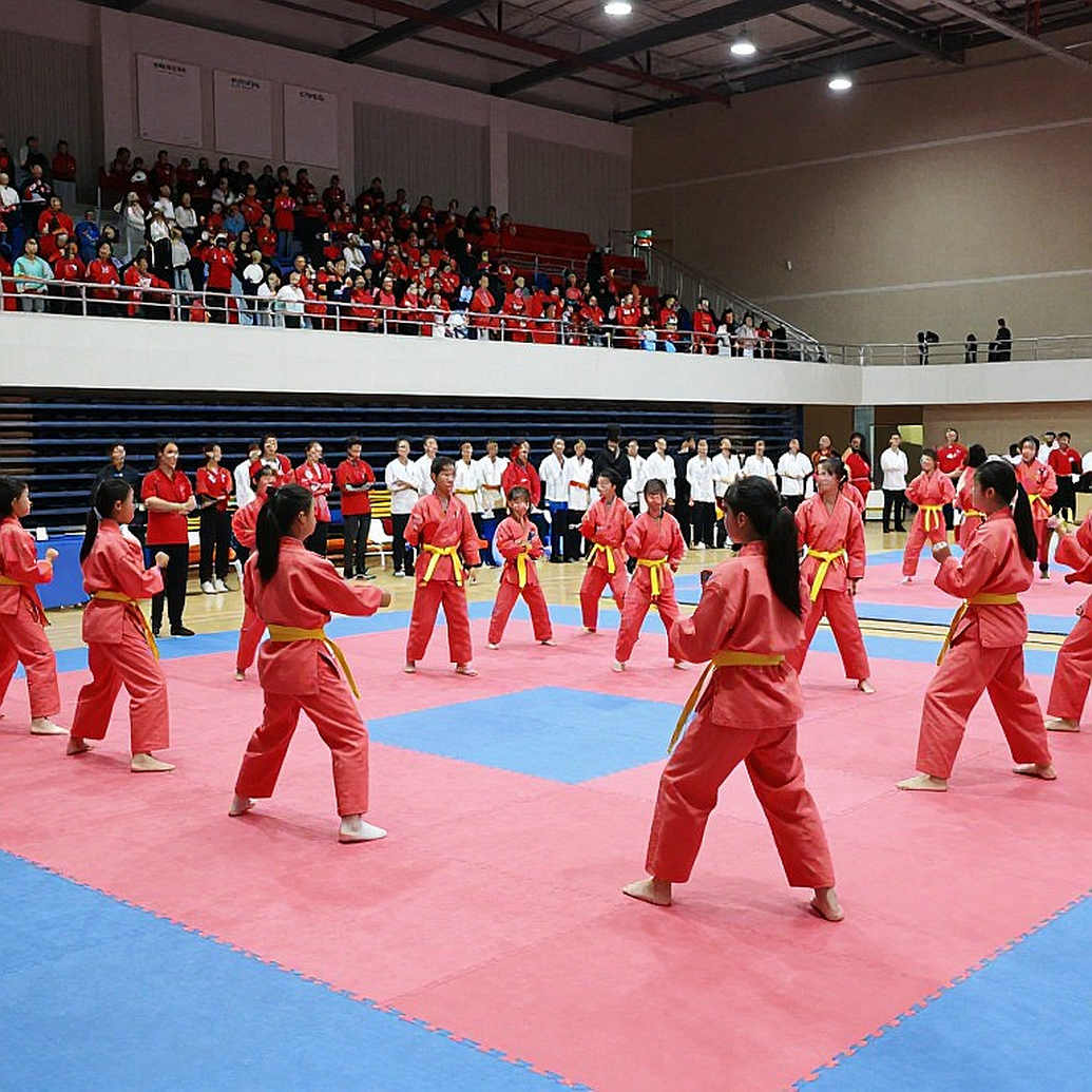 Dinh Van Tam and Ou Jiaming: Head-to-Head History and the Sanda 56kg Equation at Asiad 20 Dinh Van Tam and Ou Jiaming: Head-to-Head History and the Sanda 56kg Equation at Asiad 20